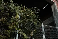 camera:fujifilm_x100 orientation:landscape // 1728x1152 // 328KB