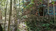 camera:phone orientation:landscape photographer:lunaticker // 1920x1080 // 516KB