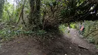 camera:phone orientation:landscape photographer:lunaticker // 1920x1080 // 582KB