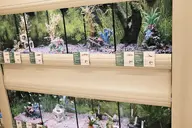 animal aquarium camera:fujifilm_x100 display_case fake fish gravel orientation:landscape photographer:deaddeaddeath plant store text water // 1728x1152 // 389KB