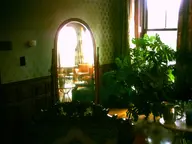 camera:digital_harinezumi house houseplant interior mansion mirror orientation:landscape ornate photographer:deaddeaddeath plant reflection wood // 1600x1200 // 206KB