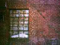 abandoned brick camera:digital_harinezumi orientation:landscape overgrown photographer:deaddeaddeath ruins window // 1600x1200 // 265KB