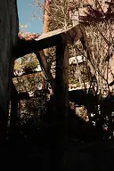 camera:fujifilm_x100 orientation:portrait photographer:deaddeaddeath // 1152x1728 // 373KB