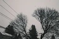 camera:fujifilm_x100 orientation:landscape // 1728x1152 // 256KB