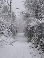 camera:phone exterior orientation:portrait path photographer:lunaticker sidewalk snow winter // 1035x1380 // 174KB