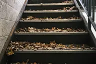 camera:fujifilm_x100 orientation:landscape // 1728x1152 // 306KB