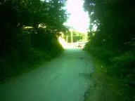 asphalt camera:digital_harinezumi exterior orientation:landscape photographer:deaddeaddeath plant road tree // 1600x1200 // 244KB