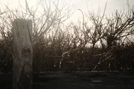 camera:fujifilm_x100 orientation:landscape photographer:deaddeaddeath // 1728x1152 // 206KB