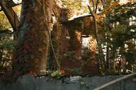 camera:fujifilm_x100 orientation:landscape // 1728x1152 // 446KB