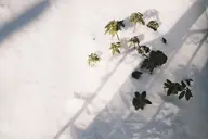 camera:fujifilm_x100 orientation:landscape photographer:deaddeaddeath // 1728x1152 // 151KB