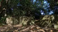 camera:phone orientation:landscape photographer:lunaticker // 1920x1080 // 571KB