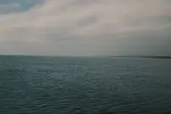 camera:fujifilm_x100 orientation:landscape photographer:deaddeaddeath // 1728x1152 // 186KB