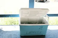 camera:fujifilm_x100 car cooler flaking_paint food orientation:landscape photographer:deaddeaddeath plant text vehicle wood // 1728x1152 // 154KB