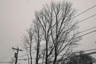 camera:fujifilm_x100 orientation:landscape // 1728x1152 // 493KB