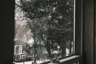 camera:fujifilm_x100 orientation:landscape // 1728x1152 // 413KB