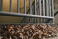 camera:fujifilm_x100 orientation:landscape // 1728x1152 // 278KB