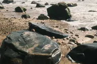 camerafujifilm orientation:landscape photographer:deaddeaddeath // 1728x1152 // 408KB