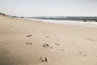 camera:fujifilm_x100 orientation:landscape photographer:deaddeaddeath // 1728x1152 // 297KB