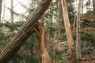 camera:fujifilm_x100 orientation:landscape photographer:deaddeaddeath // 1932x1288 // 484KB