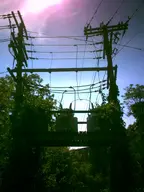 camera:digital_harinezumi exterior orientation:portrait overgrown photographer:deaddeaddeath plant power_line utility_pole // 1200x1600 // 151KB