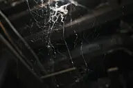 camera:fujifilm_x100 orientation:landscape photographer:deaddeaddeath // 1728x1152 // 130KB