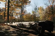 camera:fujifilm_x100 orientation:landscape // 1728x1152 // 617KB