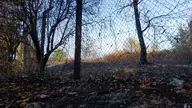camera:phone orientation:landscape photographer:lunaticker // 1920x1080 // 572KB