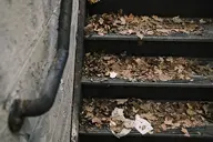 camera:fujifilm_x100 orientation:landscape // 1728x1152 // 351KB