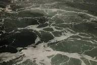 camerafujifilm orientation:landscape photographer:deaddeaddeath // 1728x1152 // 288KB