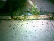 camera:digital_harinezumi city exterior orientation:landscape parking_lot photographer:deaddeaddeath sidewalk // 1600x1200 // 309KB