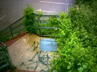 camera:digital_harinezumi concrete exterior metal parking_lot photographer:deaddeaddeath plant rainy rust stairs // 1600x1200 // 246KB