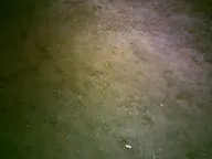 camera:digital_harinezumi dirt exterior ground orientation:landscape photographer:deaddeaddeath // 1600x1200 // 152KB