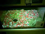 cage camera:digital_harinezumi display_case interior orientation:landscape photographer:deaddeaddeath store // 1600x1200 // 167KB