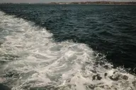 camera:fujifilm_x100 orientation:landscape photographer:deaddeaddeath // 1728x1152 // 315KB