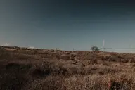 camera:fujifilm_x100 orientation:landscape photographer:deaddeaddeath // 1728x1152 // 376KB