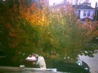 camera:digital_harinezumi exterior fall orientation:landscape photographer:deaddeaddeath plant residential tree vehicle // 1600x1200 // 214KB