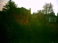 camera:digital_harinezumi exterior fall orientation:landscape photographer:deaddeaddeath plant residential tree // 1600x1200 // 123KB