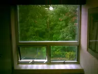 building camera:digital_harinezumi interior orientation:landscape parking_lot photographer:deaddeaddeath plant tree window // 1600x1200 // 116KB