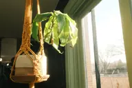 camera:fujifilm_x100 orientation:landscape photographer:deaddeaddeath // 1728x1152 // 196KB