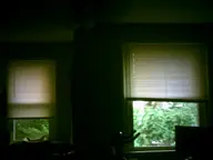 camera:digital_harinezumi dark interior orientation:landscape photographer:deaddeaddeath plant tree window // 1600x1200 // 62KB