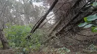 camera:phone orientation:landscape photographer:lunaticker // 1536x864 // 415KB