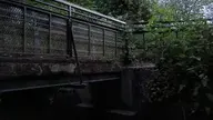 camera:phone orientation:landscape photographer:lunaticker // 1920x1080 // 276KB