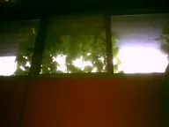 camera:digital_harinezumi dirty interior orientation:landscape photographer:deaddeaddeath plant window // 1600x1200 // 54KB