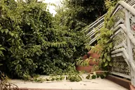 camera:fujifilm_x100 concrete exterior ivy metal nature orientation:landscape overgrown photographer:deaddeaddeath plant rust stairs // 1728x1152 // 469KB