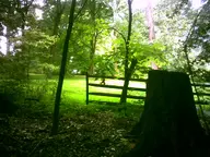 camera:digital_harinezumi exterior fence grass orientation:landscape photographer:deaddeaddeath plant tree tree_stump wood // 1600x1200 // 295KB