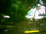 camera:digital_harinezumi city concrete dirt exterior orientation:landscape overgrown photographer:deaddeaddeath plant // 1600x1200 // 186KB