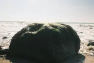 camerafujifilm orientation:landscape photographer:deaddeaddeath // 1728x1152 // 181KB