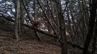 camera:phone orientation:landscape photographer:lunaticker // 1536x864 // 399KB