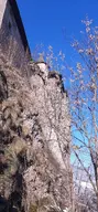 cameraphone orientationportrait photographerbloodmachine // 930x2016 // 588KB