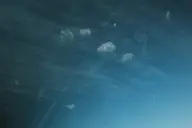 camera:fujifilm_x100 orientation:landscape // 1728x1152 // 123KB